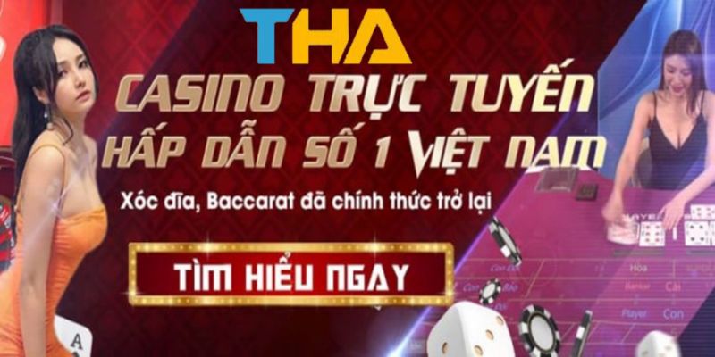 Giới thiệu về sân chơi cá cược hàng đầu được yêu thích Thabet