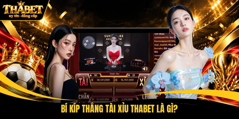 Bí kíp thắng tài xỉu THABET là gì?