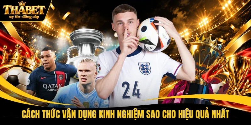 Cách thức vận dụng kinh nghiệm sao cho hiệu quả nhất