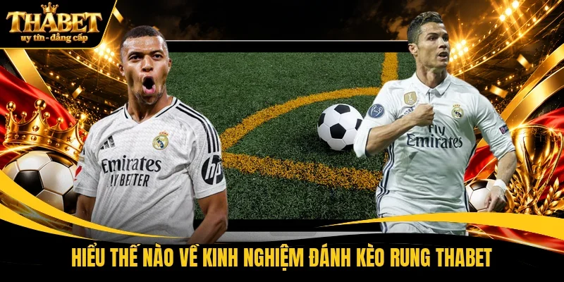 Hiểu thế nào về kinh nghiệm đánh kèo rung THABET